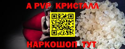 стаф Новокубанск