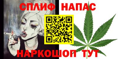 стаф Новокубанск