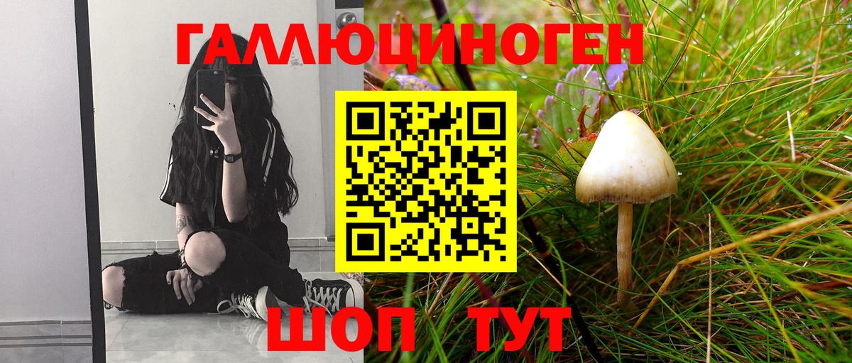 Псилоцибиновые грибы мицелий Саянск