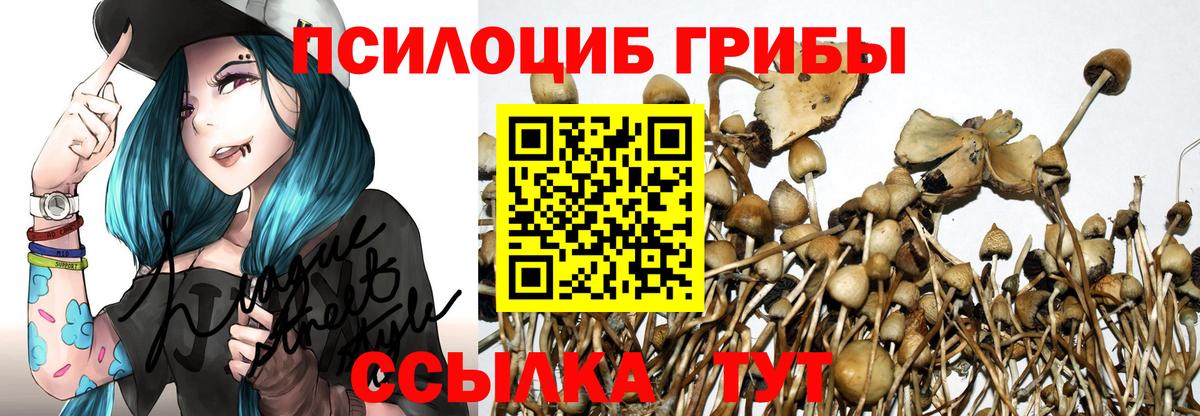 Псилоцибиновые грибы Magic Shrooms  Вход с VPN  Галлюциногенные грибы GOLDEN TEACHER  Саянск 